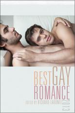 Best Gay Romance 2013