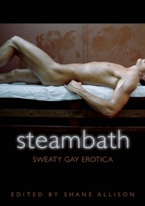 steambath cover