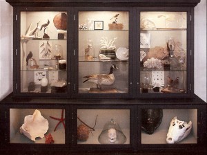 cabinet-of-curiosities